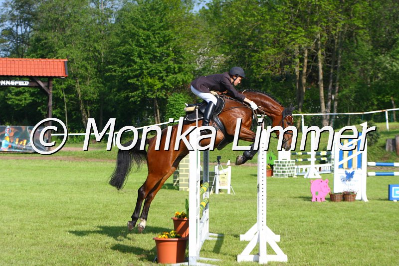 005M3913_Upper Class_Springpferde A.JPG